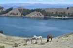 Lac titicaca