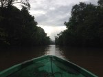 River Kinabatangan